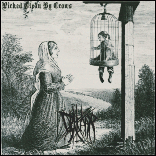 Dhikkaar : Picked Clean by Crows